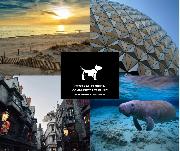 Central Florida Community Pet Clinic Logo